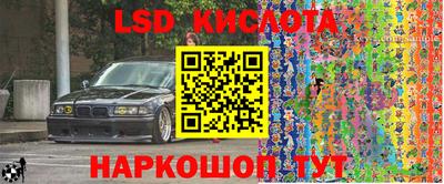 тгк Новодвинск