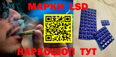 тгк Новодвинск