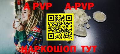 тгк Новодвинск