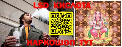 тгк Новодвинск