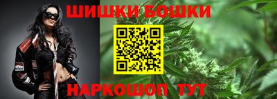 тгк Новодвинск
