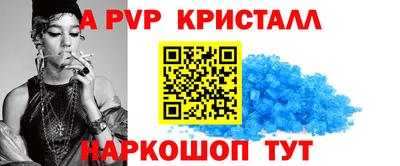 тгк Новодвинск