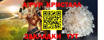 тгк Новодвинск