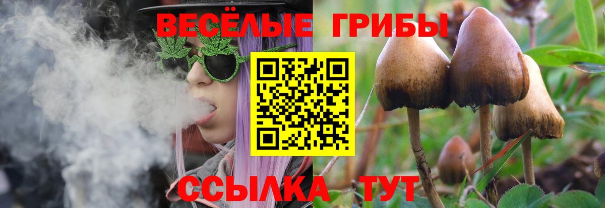 Галлюциногенные грибы мицелий Троицк